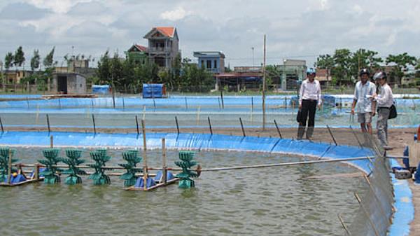 Ứng dụng hiệu quả khoa học công nghệ trong nuôi trồng thủy sản. (26/4/2016)